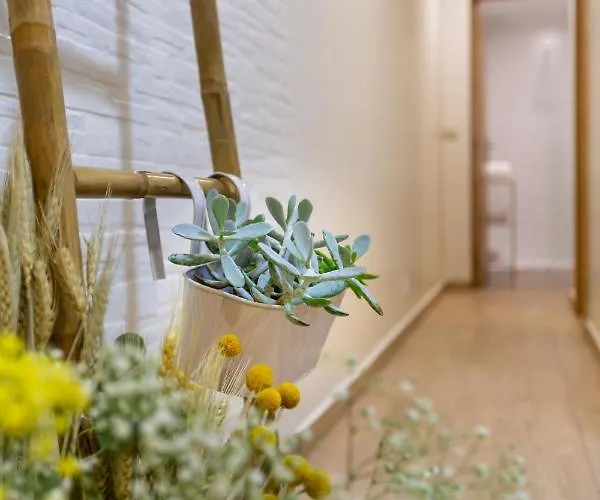 Aguda Porto, Slow Travel Vila Nova de Gaia