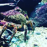 Aguda Porto, Slow Travel *