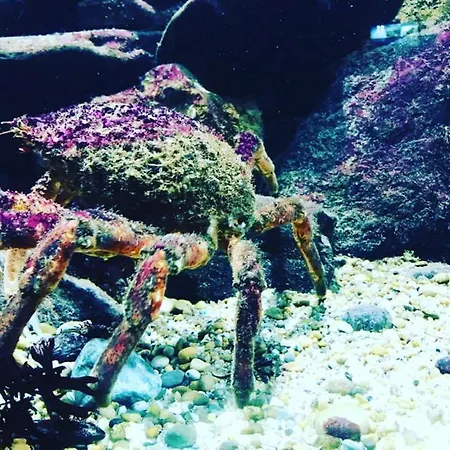 Aguda Porto, Slow Travel *