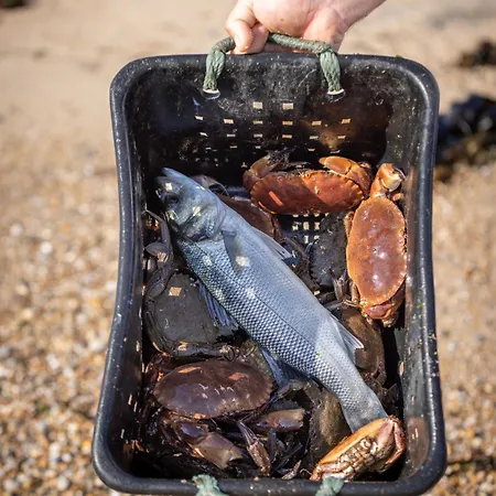 Aguda Porto, Slow Travel بيت للعطل فيلا نوفا دي غايا