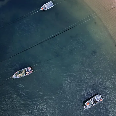 Aguda Porto, Slow Travel بيت للعطل فيلا نوفا دي غايا