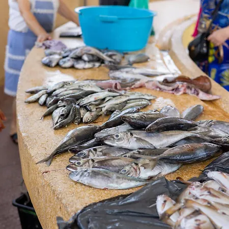 Aguda Porto, Slow Travel بيت للعطل *