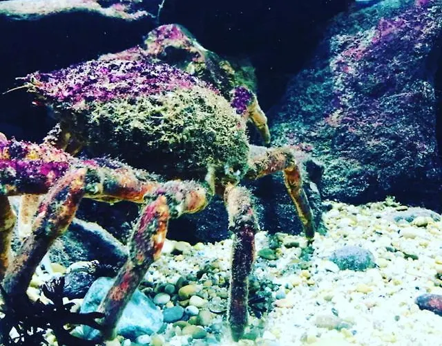 Aguda Porto, Slow Travel *