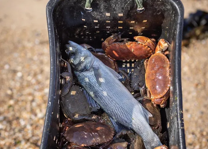 Aguda Porto, Slow Travel Dom wakacyjny Vila Nova de Gaia