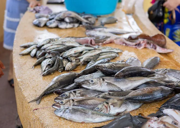 Aguda Porto, Slow Travel Dom wakacyjny *